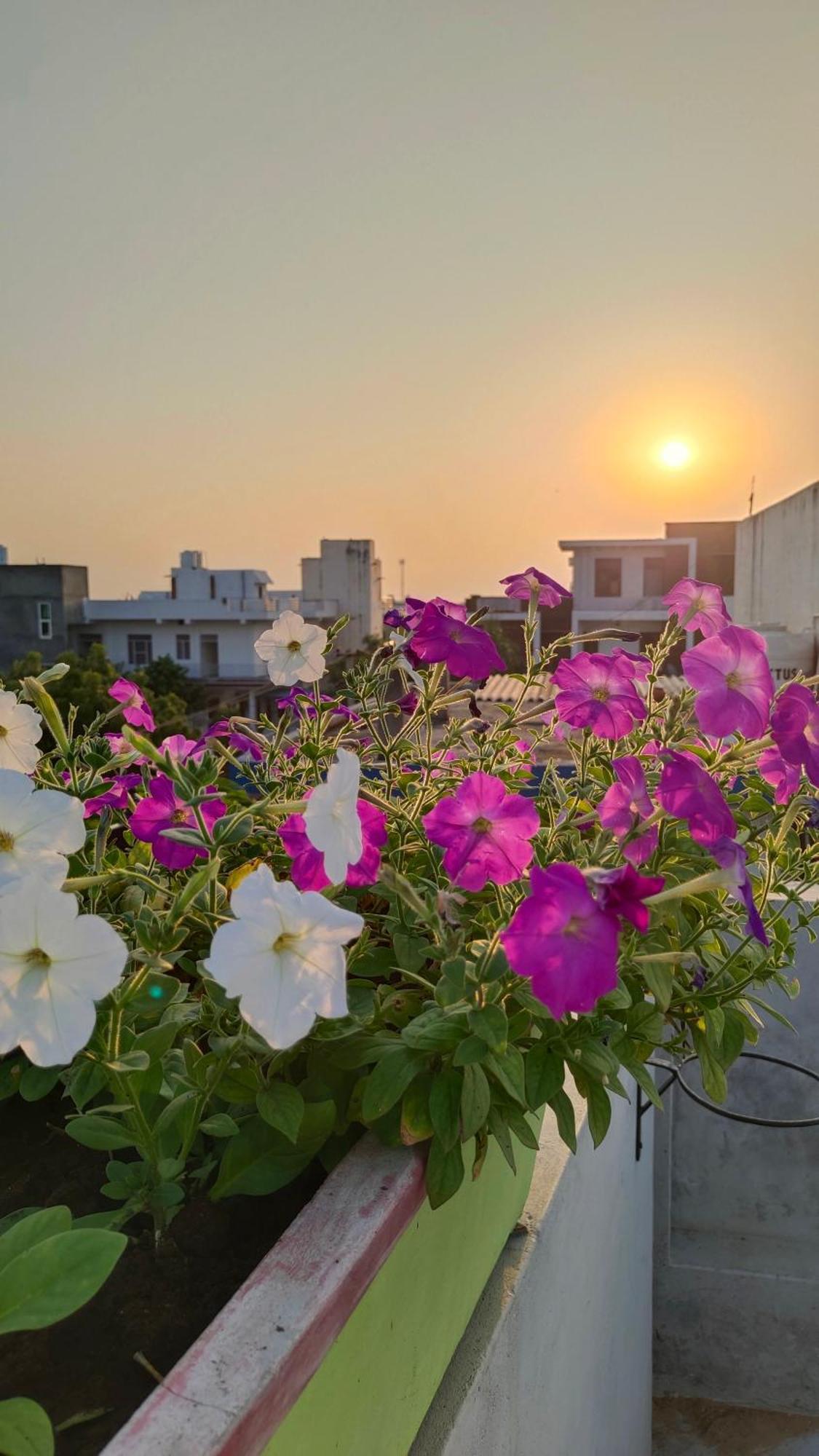 Iora Guest House Bharatpur Εξωτερικό φωτογραφία